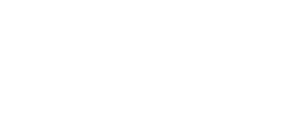 lumia-professional